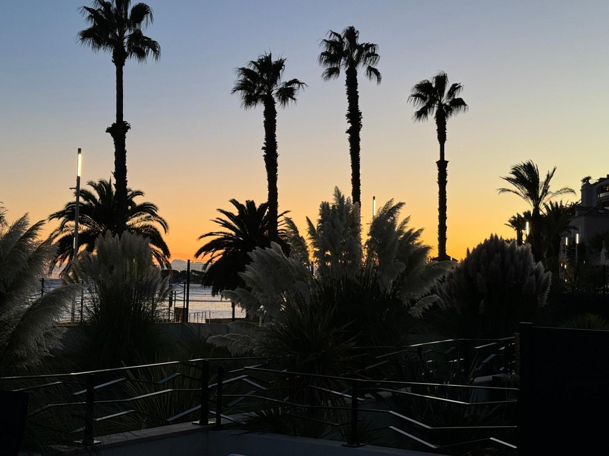 T3 Neuf Avec Terrasse Et Jardin Face A La Mer Bandol Extérieur photo